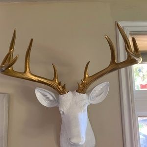 Home decor, deer with gold horns